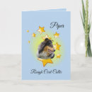 Search for rough cards Collie
