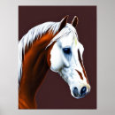 Search for mustangs posters Equine