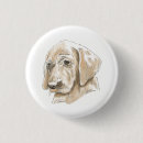 Search for yellow lab badges Cute
