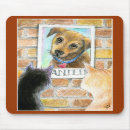 Search for keyboard cat posters Funny