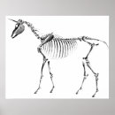 Search for legendary creatures posters Mythical
