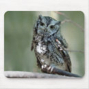 Search for screech mousepads Eastern screech owl