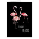 Search for funny flamingo sayings Motivational