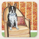 Search for boston coasters Pets