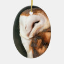 Search for barn owl christmas tree decorations Wildlife