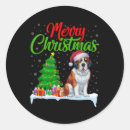 Search for saint bernards stickers Xmas