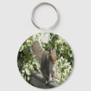 Search for squirrel picture key rings Wildlife