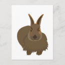 Search for hare postcards Ears