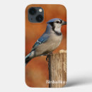 Search for birdnerd Blue jay