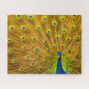 Search for peacock puzzles Tropical