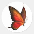 Search for swallowtail butterfly stickers Design