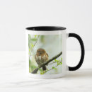 Search for tree branch mugs Wildlife