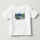 Search for altitude tshirts Rocky mountains