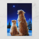 Search for dog and cat invitations Joke