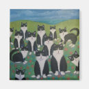 Search for tuxedo magnets Cats