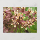 Search for commune postcards Flower