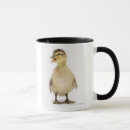 Search for duckling mugs Animal