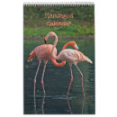 Search for flamingo calendars Bird