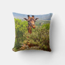 Search for giraffe cushions Cute