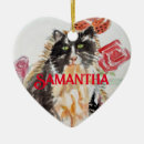 Search for teens christmas tree decorations For him