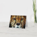 Search for endangered cards Animals