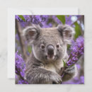 Search for marsupials invitations Koala