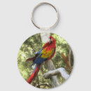 Search for red parrot key rings Tropical