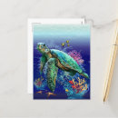 Search for coral reef life postcards Ocean