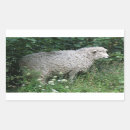 Search for woolly sheep stickers Fluffy