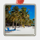 Search for florida key west christmas tree decorations Ocean