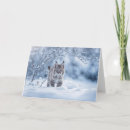 Search for bobcats cards Snow