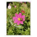 Search for speedy recovery cards Pink