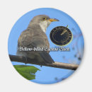 Search for billed magnets Nature
