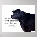 Search for black and white cow art Humour