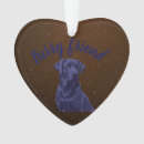 Search for furry friend Dog birthday