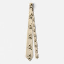 Search for hermit thrush Illustration