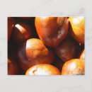 Search for conker Brown