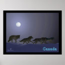 Search for winter wolves posters Arctic