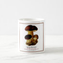 Search for fungi mugs Toadstool