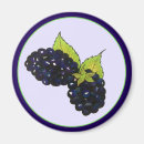 Search for blackberries magnets Berry