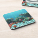 Search for tropical reef coasters Marine life