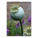 Search for pod cards Green