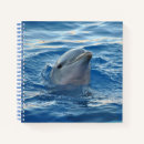 Search for dolphin notebooks Sealife