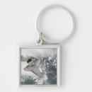 Search for space shuttle discovery key rings View from space