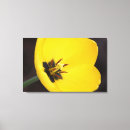 Search for stamen canvas prints Yellow