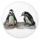 Search for penguin knobs and pulls Cute