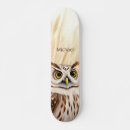 Search for owl skateboards Nature