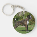 Search for boxer dog key rings Brindle