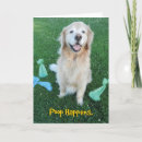 Search for pooping cards Dog