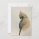 Search for cardinal vertical note cards Red
